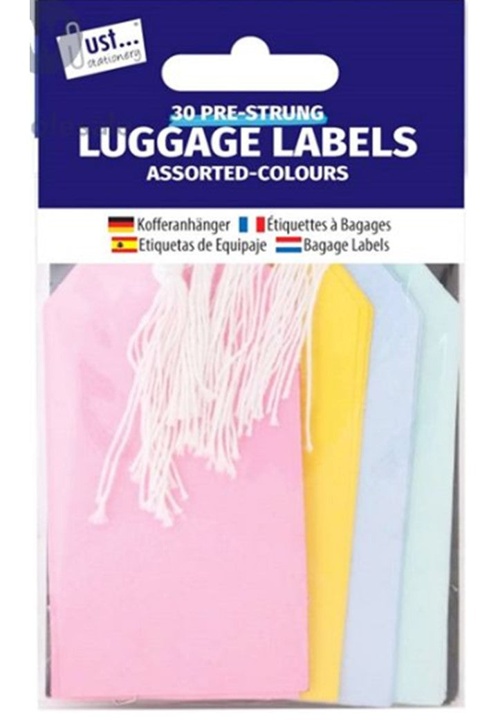 Multi Coloured Label Tags x30 pack